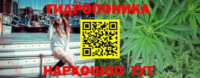 индика Малгобек